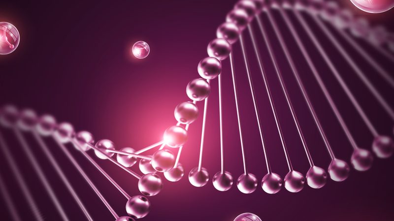 生物试剂在科研中的应用：北京生物试剂使用步骤详解