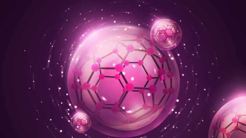 快速引物合成：揭秘高效PCR实验的秘密武器**