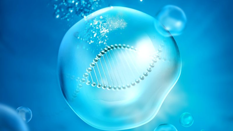 生物制品冷链运输：第三方物流公司的关键作用与选择要点