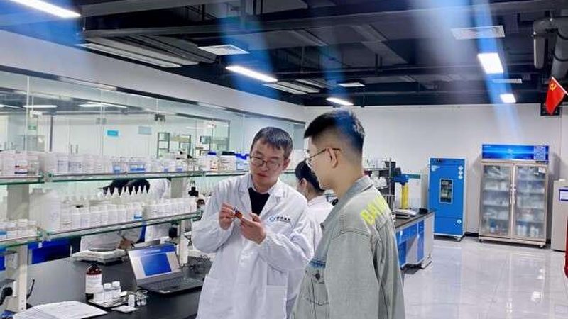 CDMO与CMO：项目评估中的关键区别解析