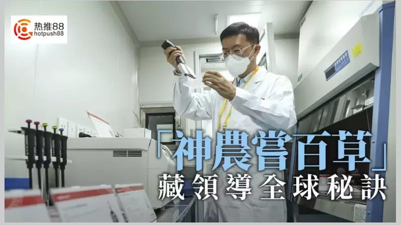 生物医药外包合同参数设定的关键考量**