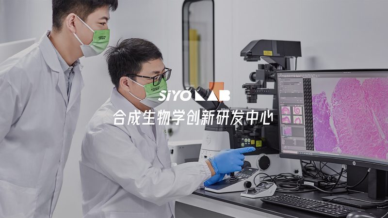 生物医药外包人才代理：从“借人”到“借脑”的行业变局