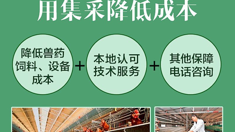 干细胞培养基：揭秘其价值与选择要点**