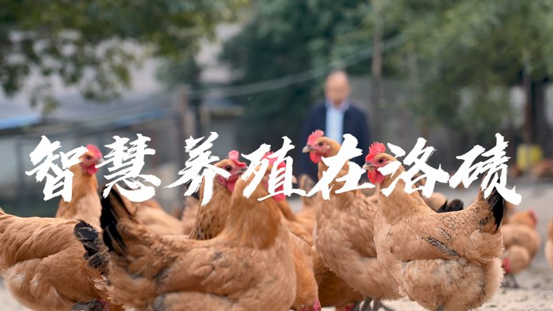 瑞宁移液器校准，守护科研精确度**