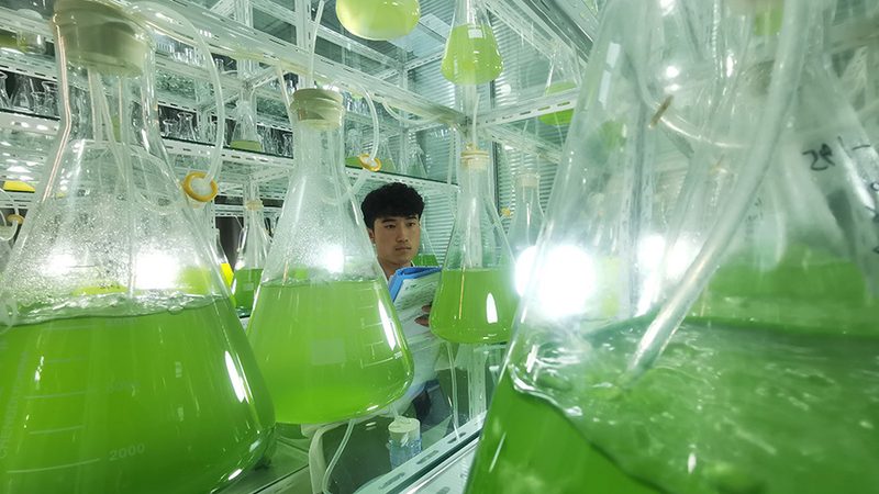 如何在CRO优化中巧妙平衡用户体验